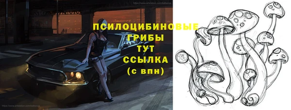 молекула духа Коряжма