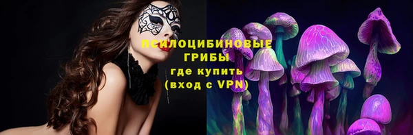 бошки Каменск-Шахтинский