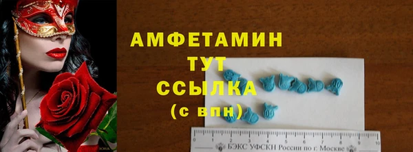 прущие грибы Костерёво