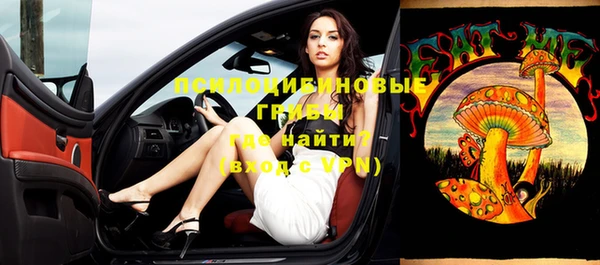 молекула духа Коряжма