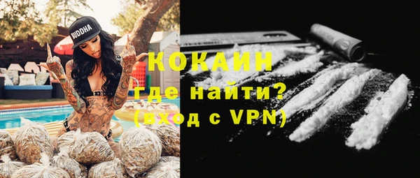 ALPHA PVP Инсар