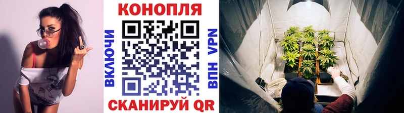 Бошки Шишки Amnesia  Купить закладки  Карпинск 